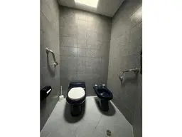 Vista 20