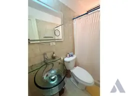 Vista 11
