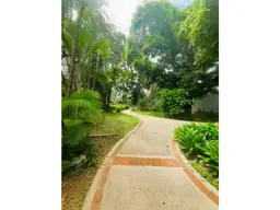 View 4