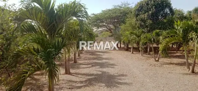 TERRENO CON GALPON EN VENTA ZONA NORTE VIA EL CUJI, LAS VERITAS - 16