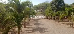 View 16