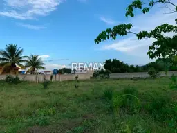 View 8