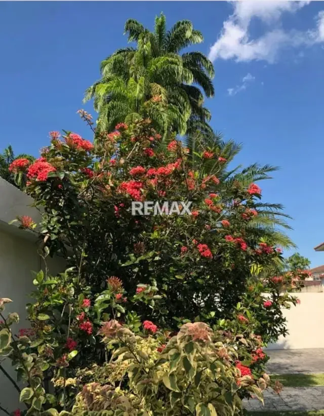 Venta de Casa Guataparo Country Club - 19