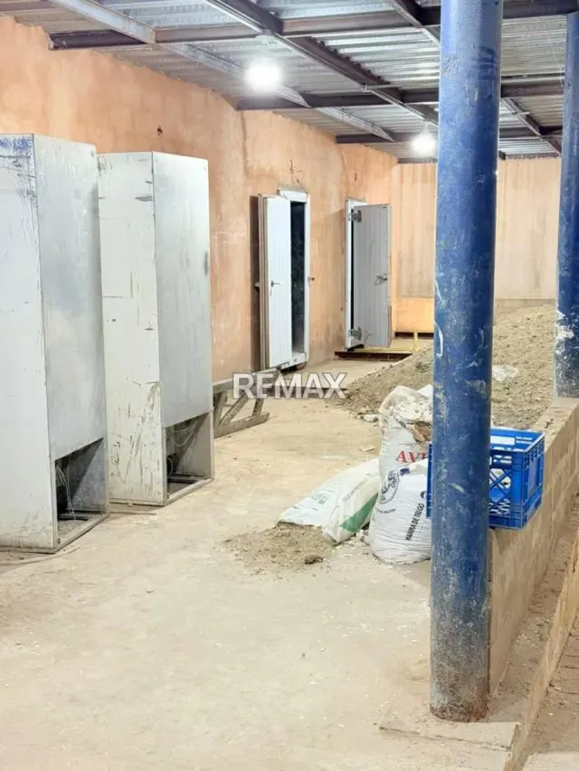 Galpon en Venta Sector Valle Frio - 2