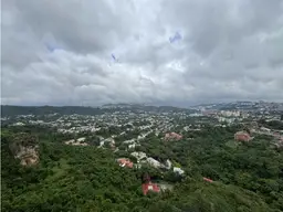 View 51