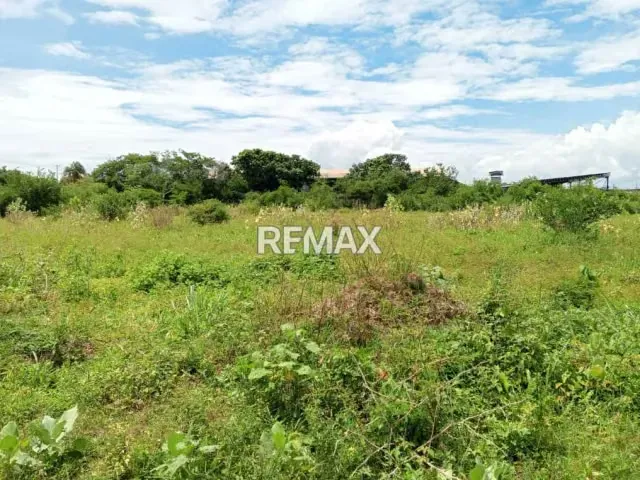 Terreno En Venta En Los Guayos Carretera Nacional Las Garcitas - 4