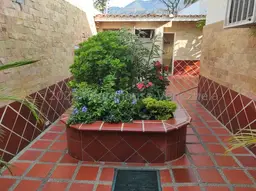 Vista 53