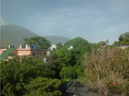 Vista 15