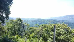 View 27