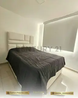 Vista 6