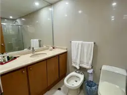 Vista 19