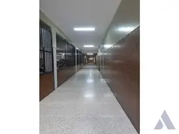 Vista 19