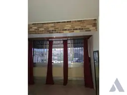 Vista 4