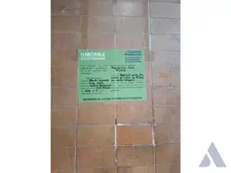 Vista 6
