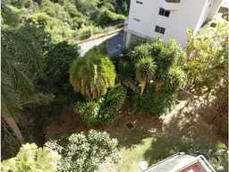 Vista 15