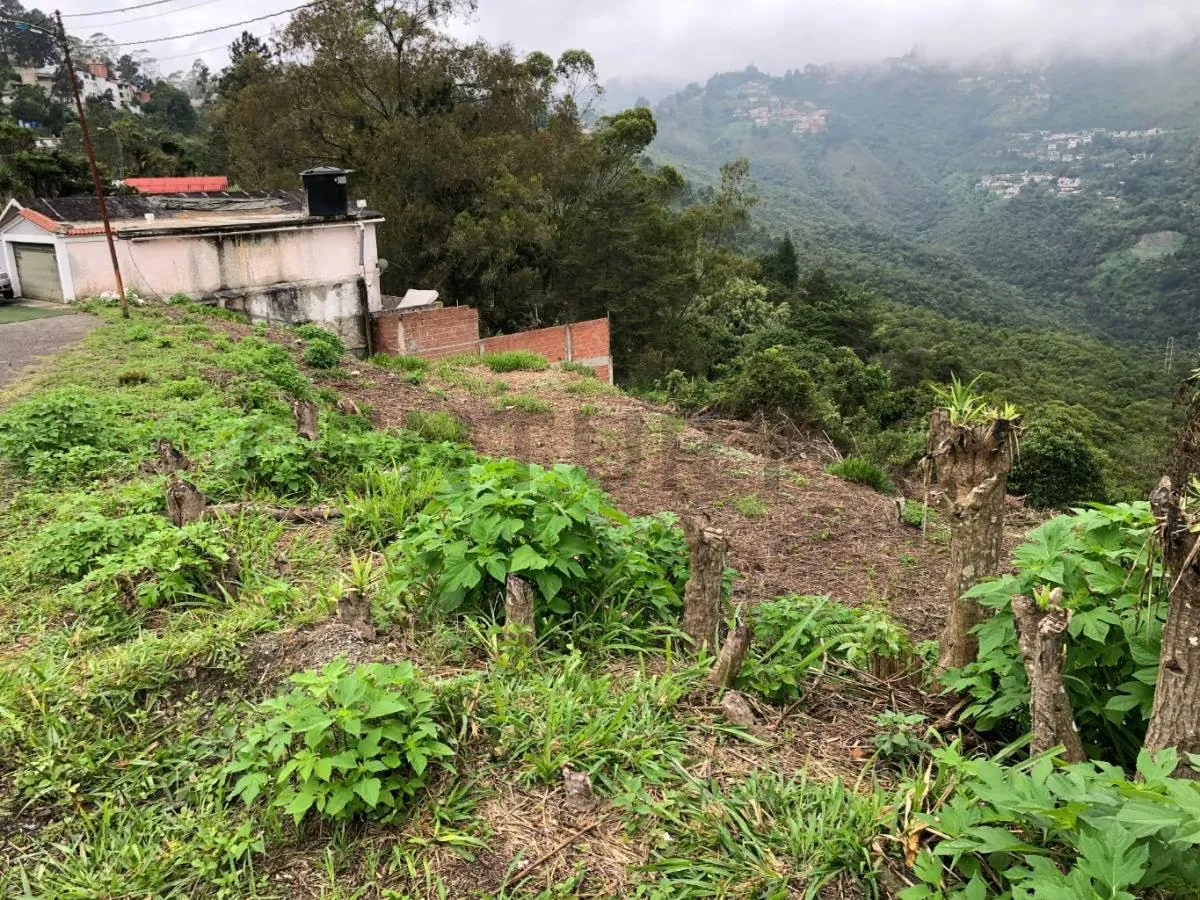 HA-TERRENO EN VENTA URB. Araguaney, en el Junquito 874 M2