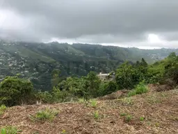 View 11