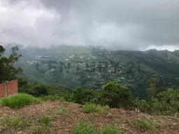 View 12
