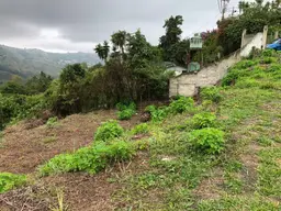 View 14
