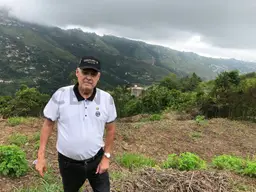 View 15