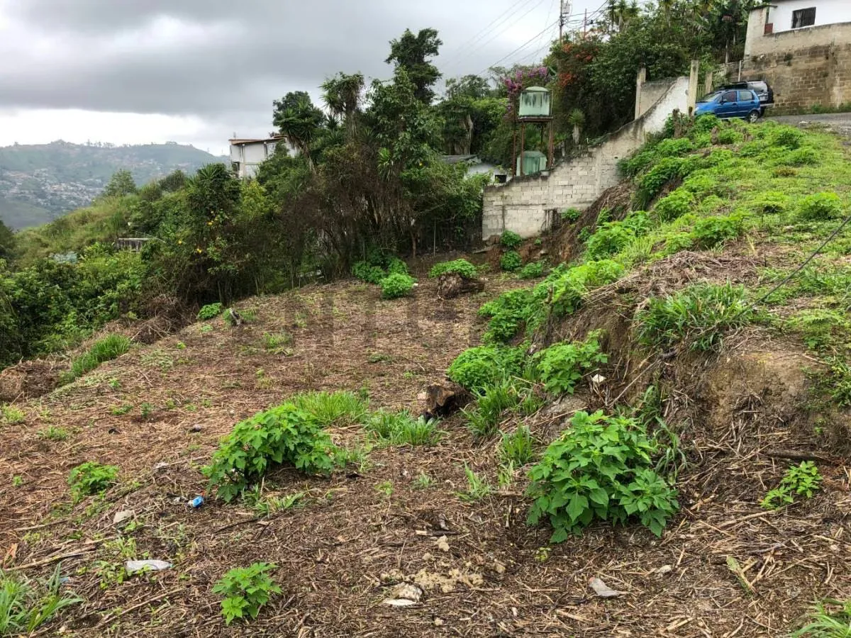 HA-TERRENO EN VENTA URB. Araguaney, en el Junquito 874 M2 - 5