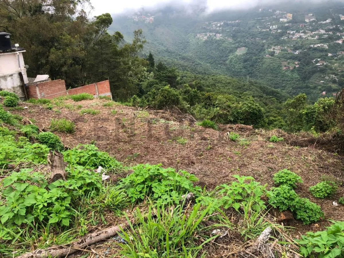 HA-TERRENO EN VENTA URB. Araguaney, en el Junquito 874 M2 - 6