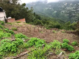 View 6