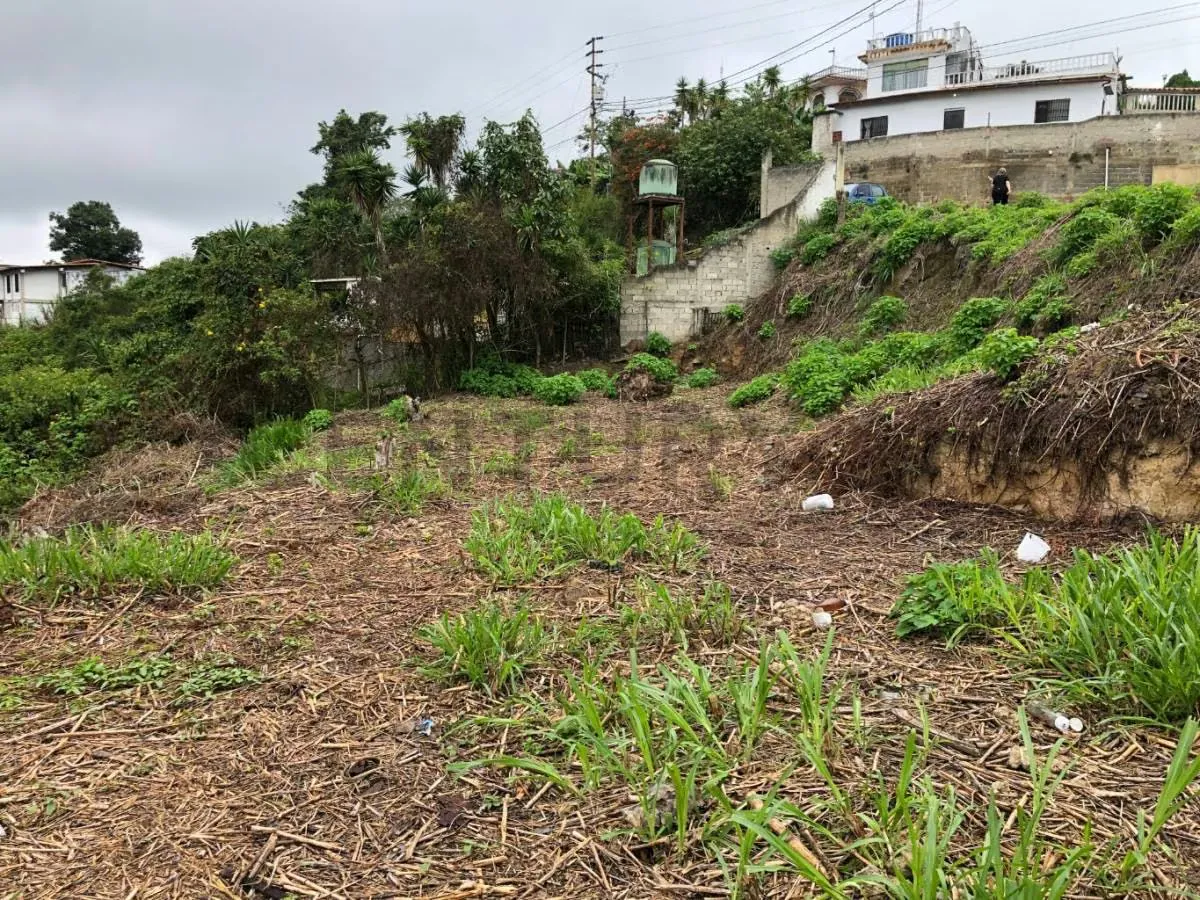 HA-TERRENO EN VENTA URB. Araguaney, en el Junquito 874 M2 - 7