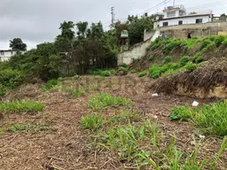 View 7