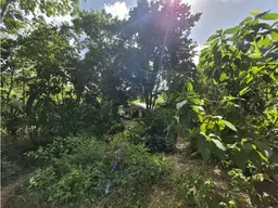 Vista 18