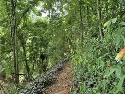 Vista 27