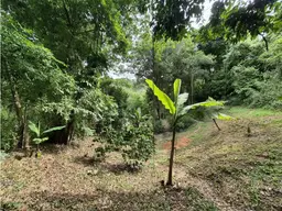 Vista 29