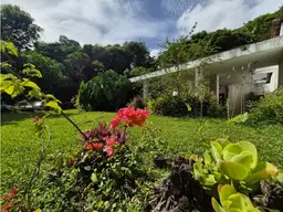 Vista 6