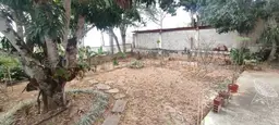 Vista 36