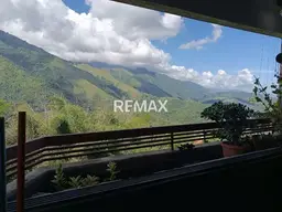 Vista 12