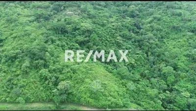 Terreno en venta Canoabo Bejuma en bosque virgen - 3