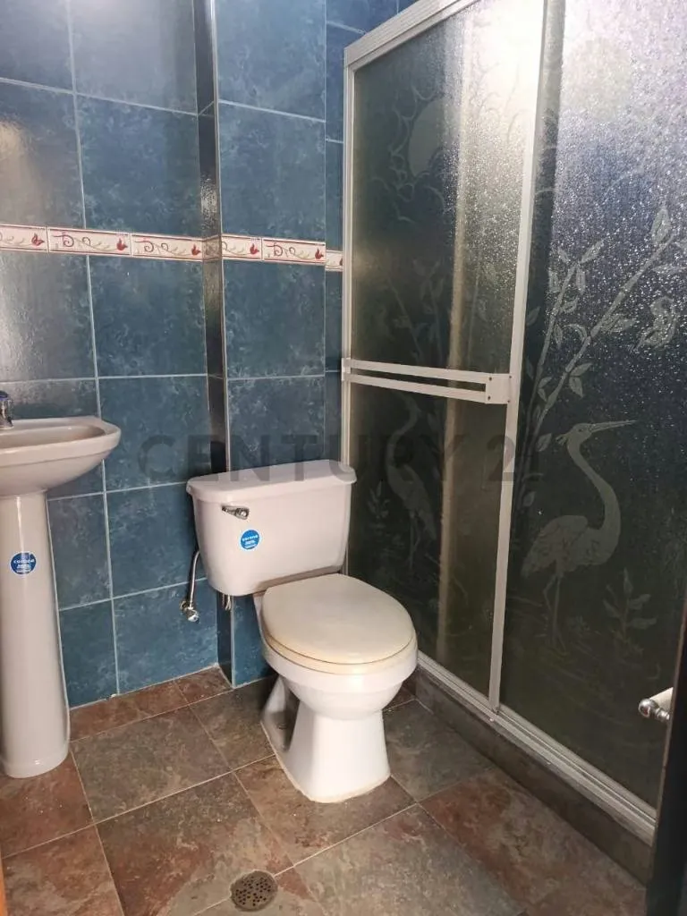 Apartamento en alquiler Tariba - 6