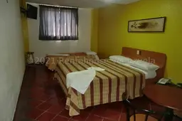Vista 21
