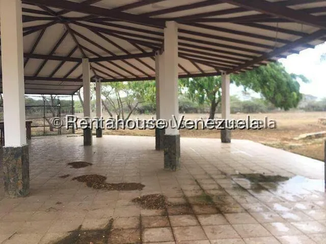Casa (1 Nivel) en Venta en Buena Vista, Falcon - 12
