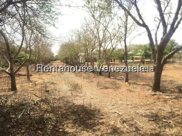 Casa (1 Nivel) en Venta en Buena Vista, Falcon - 10