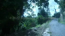 Vista 1