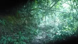 Vista 13