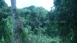 Vista 17