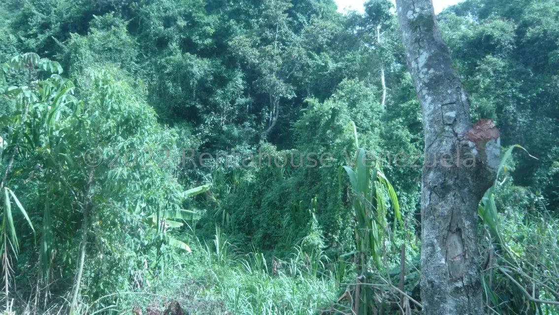 Terreno (Residencial) en Venta en La Union, Distrito Metropolitano - 18