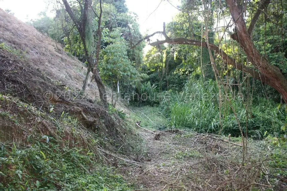 Terreno (Residencial) en Venta en La Union, Distrito Metropolitano - 2