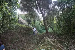 Vista 3