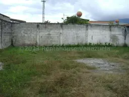 Vista 6