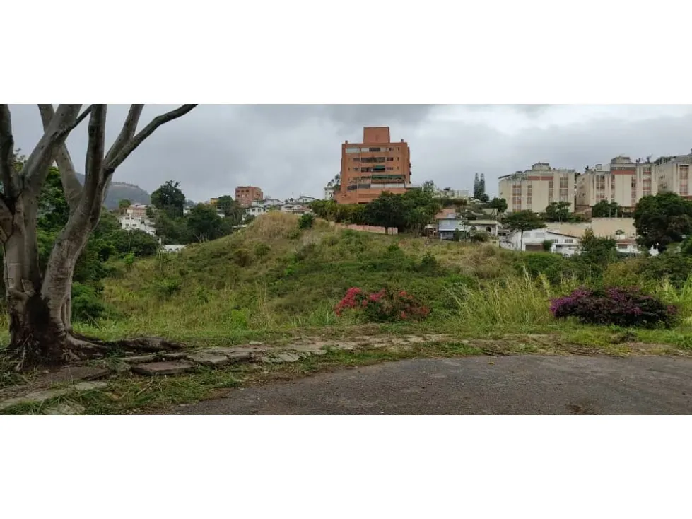 Vendo Parcela 735m2 Lomas de La Trinidad 6620 - 3
