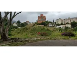 Vista 3