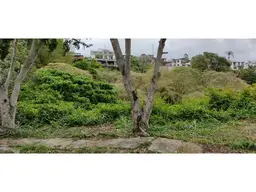 Vista 4